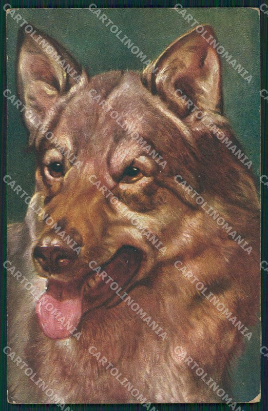 German Shepherd dog postcard cartolina QT6153 – fronte