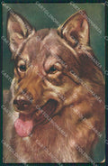 German Shepherd dog postcard cartolina QT6153 – fronte