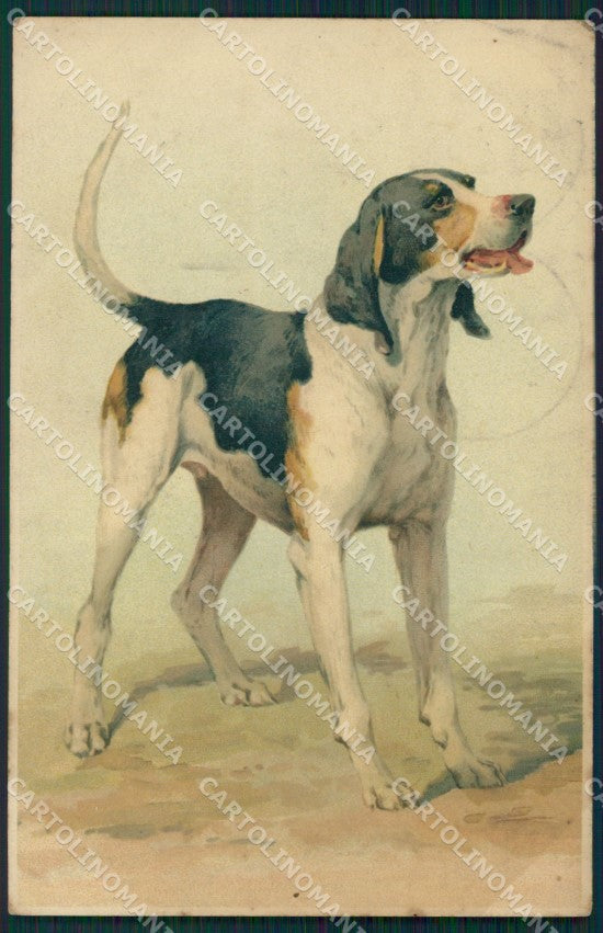 Hunting dog Meissner Buch serie 1549 ABRADED postcard cartolina QT6155 – fronte