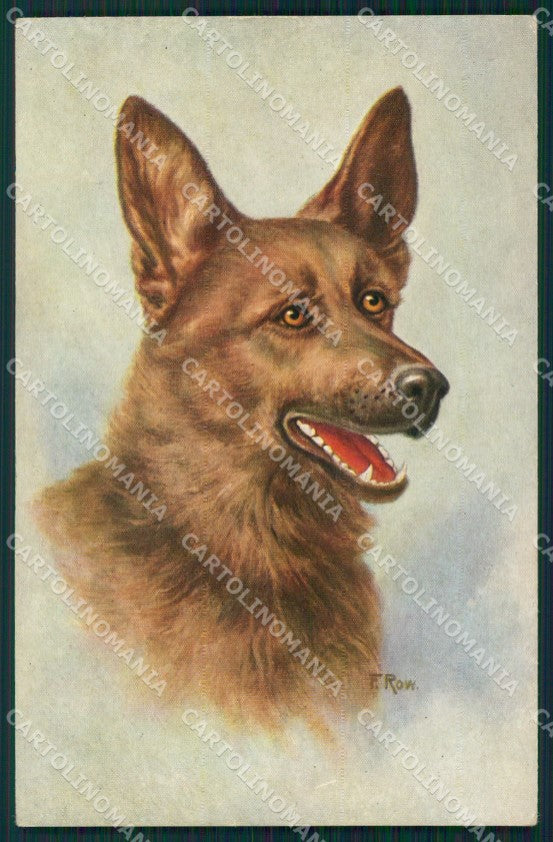 German Shepherd dog Row postcard cartolina QT6156 – fronte