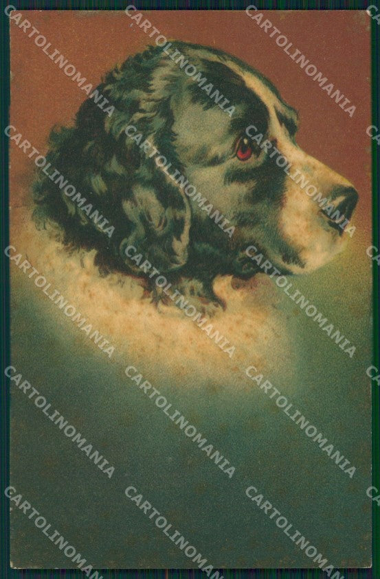 Hunting dog velvet postcard cartolina QT6157 – fronte