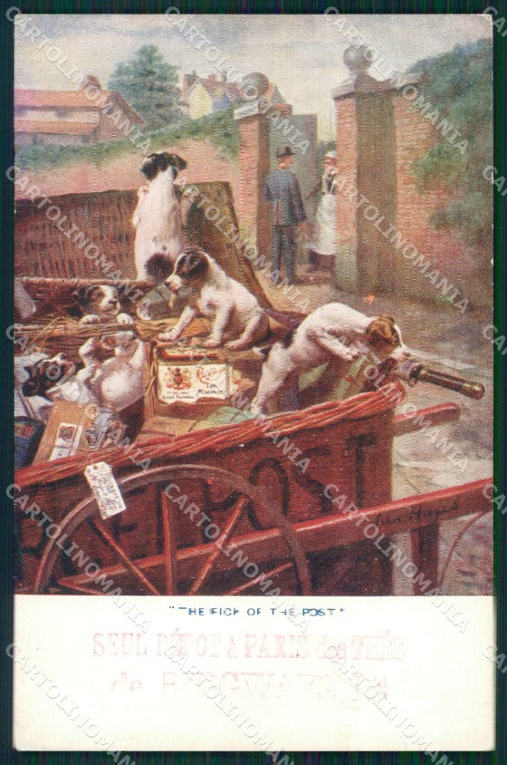Jack Russell Terrier dog The Pick of the Post John Hayes postcard QT6164 – fronte