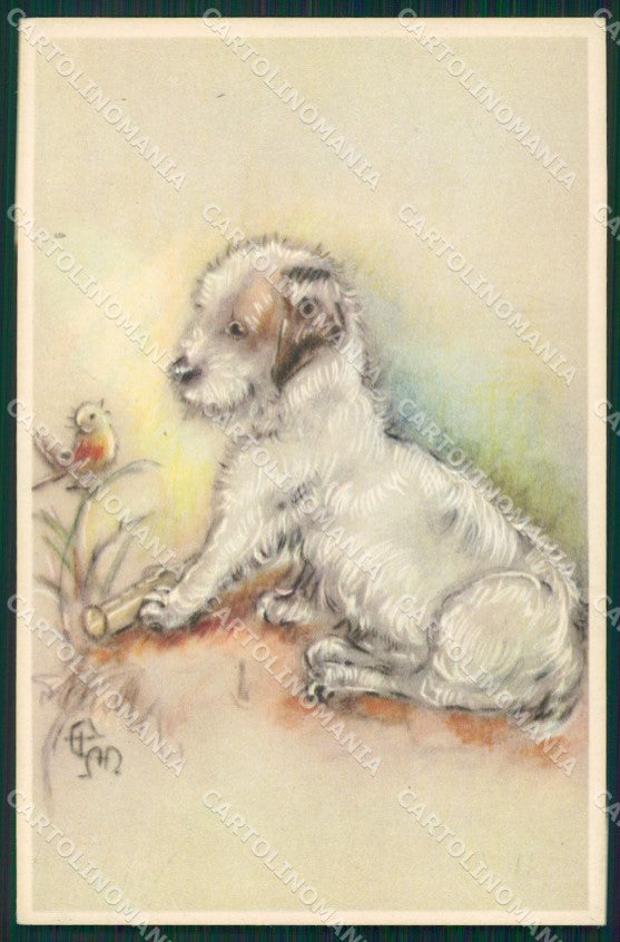 Puppy dog signed postcard cartolina QT6165 – fronte
