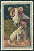 Borzoi dog Norfini CORNER CREASE postcard cartolina QT6174 – fronte