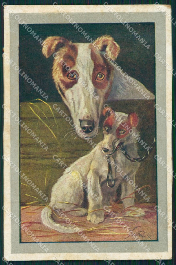 Borzoi dog Norfini CORNER CREASE postcard cartolina QT6174 – fronte