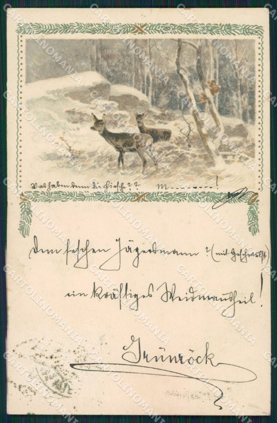 Cervo Deer Hunting Dondorf serie 477 postcard cartolina QT6347 – fronte