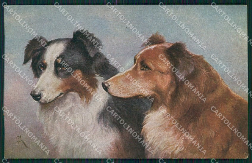 Dog Reichert T S N Serie 2028 postcard cartolina QT6814 – fronte