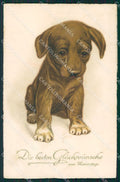 Dachshund puppy dog CORNER CREASE postcard cartolina QT6817 – fronte
