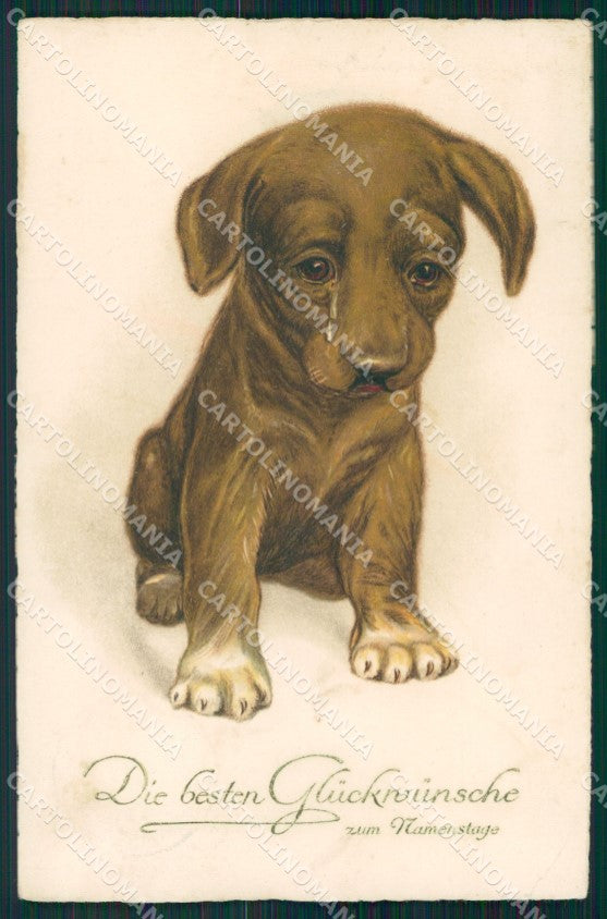 Dachshund puppy dog CORNER CREASE postcard cartolina QT6817 – fronte