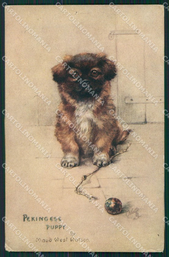 Pekingese Puppy dog Watson Tuck Oilette serie 8682 HOLE CREASE postcard QT6824 – fronte