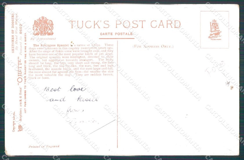 Pekingese Puppy dog Watson Tuck Oilette serie 8682 HOLE CREASE postcard QT6824 – retro