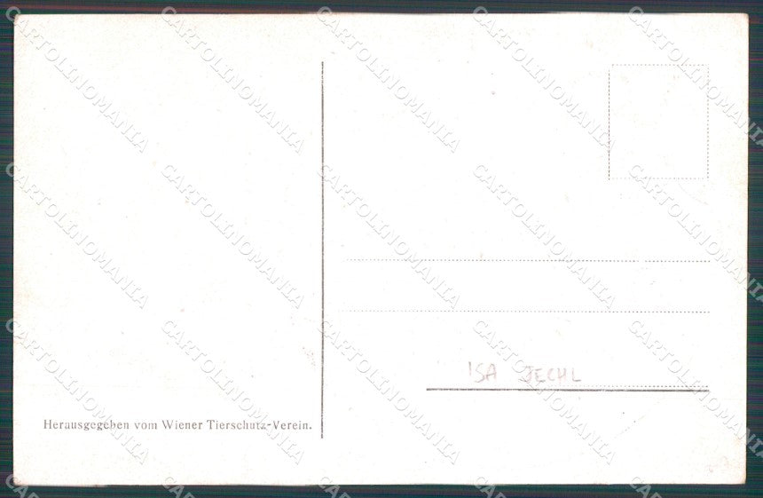Dog Isa Jechl postcard cartolina QT6825 – retro