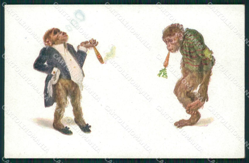 Dressed Monkey MM 1259 postcard cartolina QT6975 – fronte