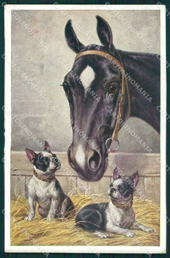 Reichert Horse and Boston Terrier dog MM 1169 postcard cartolina QT6982 – fronte