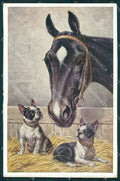 Reichert Horse and Boston Terrier dog MM 1169 postcard cartolina QT6982 – fronte