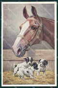 Reichert Horse and puppy dog MM 1169 postcard cartolina QT6983 – fronte