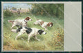 Reichert Hunting Dog Caccia MM 293 postcard cartolina QT7075 – fronte