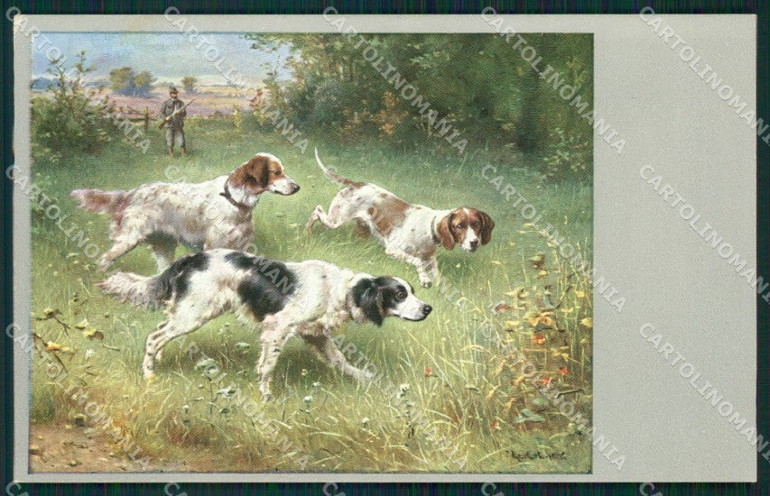 Reichert Hunting Dog Caccia MM 293 postcard cartolina QT7075 – fronte