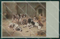 Reichert Hunting Dog SOFT CREASE MM 293 postcard cartolina QT7076 – fronte