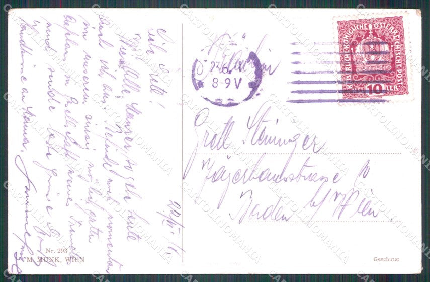Reichert Hunting Dog SOFT CREASE MM 293 postcard cartolina QT7076 – retro