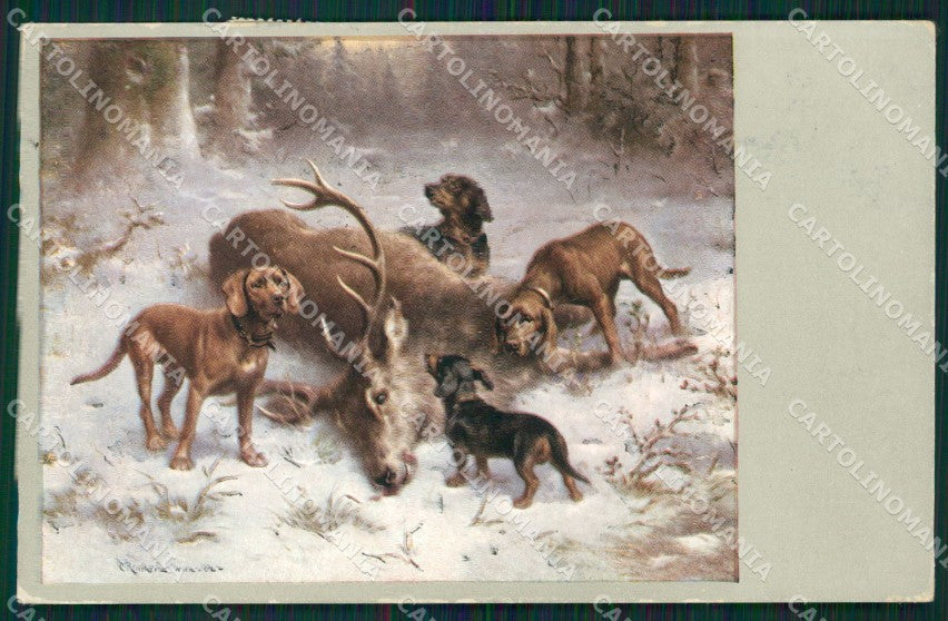 Reichert Hunting Dog Dachsund Deer Cervo Caccia MM 293 postcard cartolina QT7078 – fronte