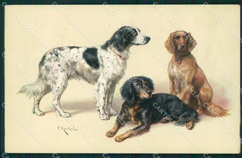 Reichert Hunting Dog MM 287 postcard cartolina QT7079 – fronte