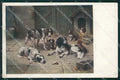Reichert Hunting Dog MM 239 postcard cartolina QT7080 – fronte