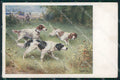 Reichert Hunting Dog Caccia CORNER CREASE MM 239 postcard cartolina QT7081 – fronte