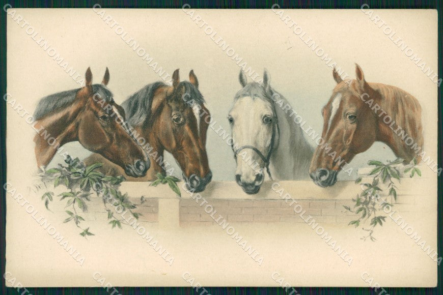 Horse MM Vienne 158 postcard cartolina QT7094 – fronte