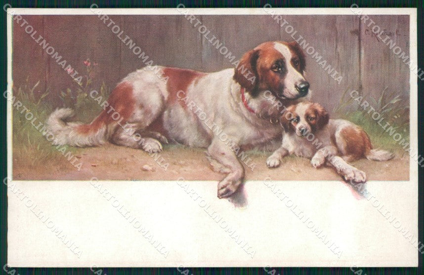 Reichert Saint Bernard Dog MM Wien 765 postcard cartolina QT7110 – fronte