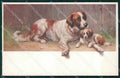 Reichert Saint Bernard Dog MM Wien 765 postcard cartolina QT7110 – fronte