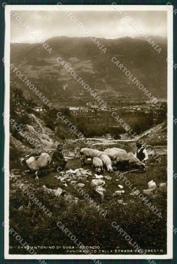 Torino San Antonino di Susa Gregge foto cartolina QZ0371 – fronte