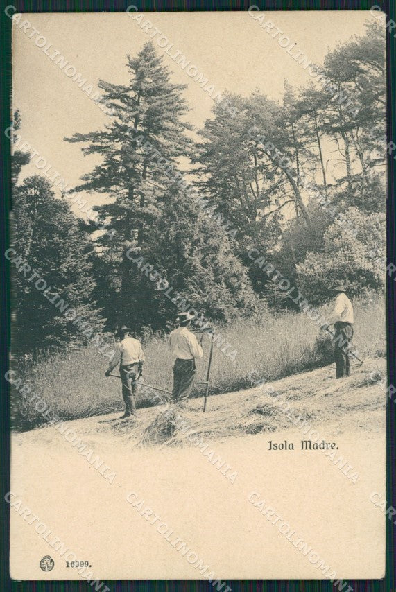 Verbania Stresa Isole Borromee Isola Madre cartolina QZ1246 – fronte