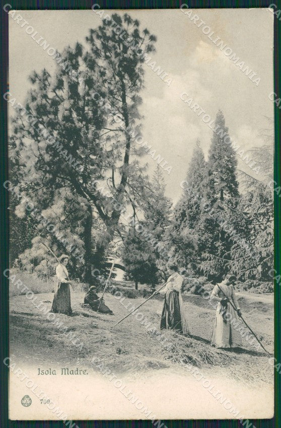 Verbania Stresa Isole Borromee Isola Madre cartolina QZ1250 – fronte