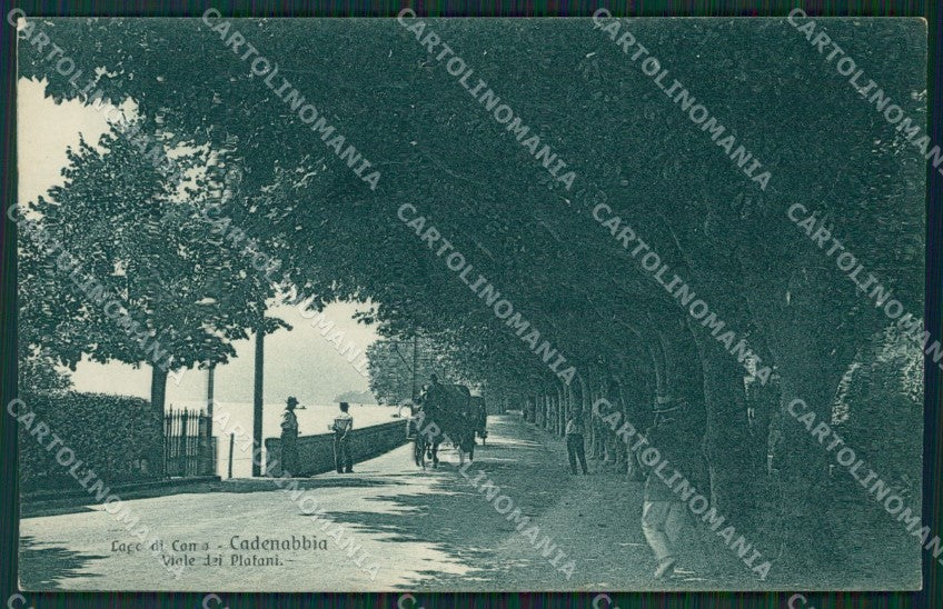 Como Lago di Cadenabbia cartolina QZ1409 – fronte