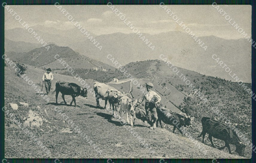 Como Lago di Monte Bisbino PIEGA cartolina QZ1566 – fronte