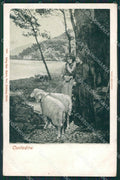 Como Lago di Costumi cartolina QZ1635 – fronte