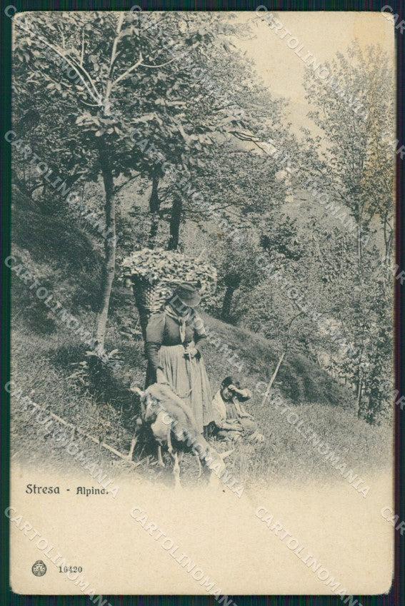 Verbania Stresa cartolina QZ1986 – fronte