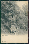 Verbania Stresa cartolina QZ1986 – fronte