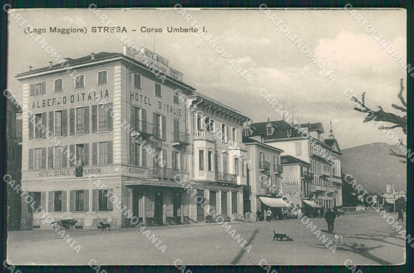 Verbania Stresa cartolina QZ1990 – fronte