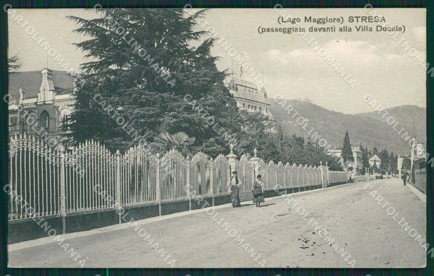 Verbania Stresa cartolina QZ2001 – fronte