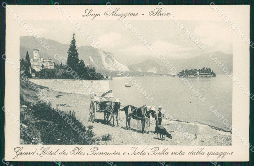Verbania Stresa cartolina QZ2007 – fronte