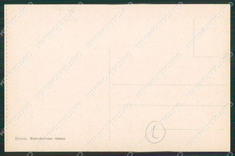 Verbania Stresa cartolina QZ2052 – retro