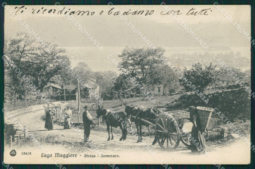 Verbania Stresa Someraro cartolina QZ2092 – fronte