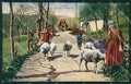 Verbania Lago Maggiore Costumi cartolina QZ2149 – fronte