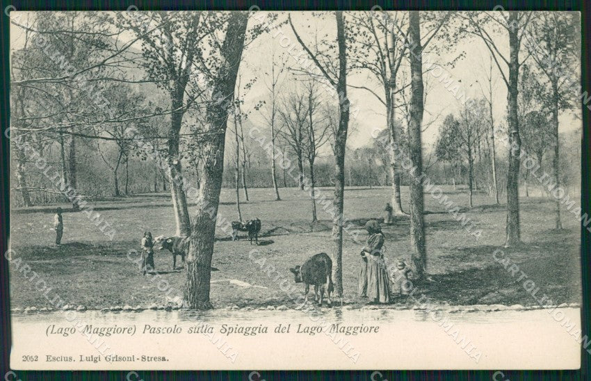 Verbania Lago Maggiore cartolina QZ2153 – fronte
