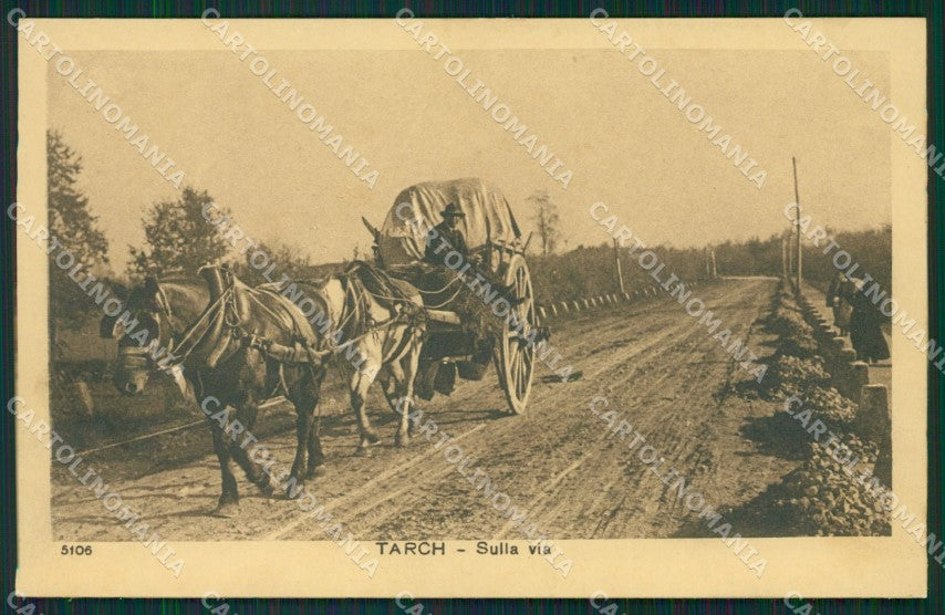Vercelli Tarchetti fotogafo Tarch cartolina QZ2281 – fronte