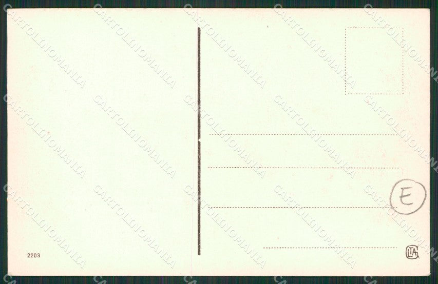Novara Orta San Giulio cartolina QZ2381 – retro