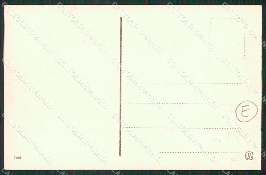 Novara Orta San Giulio cartolina QZ2382 – retro