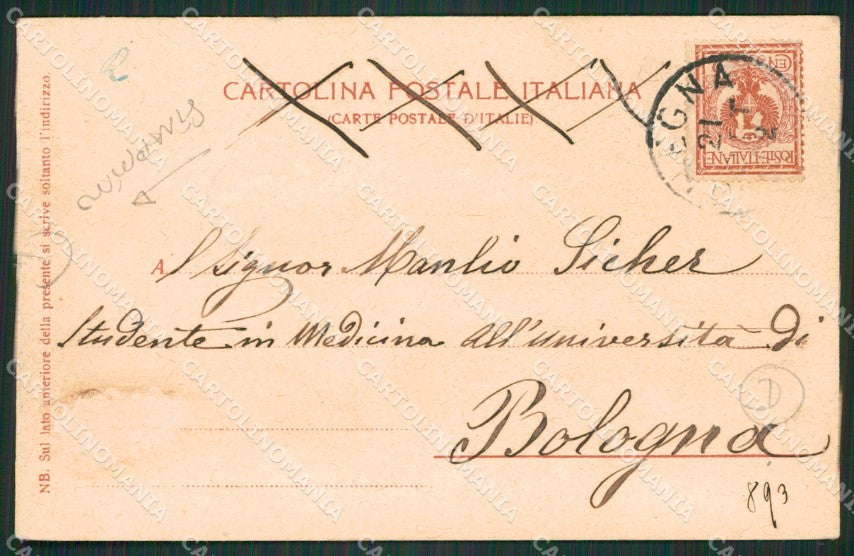 Verbania Omegna STRAPPINO cartolina QZ2425 – retro